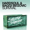 Survival (Robbie Taylor Iberican Mix) - Hardsoul