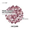 Search and Destroy (Medu Remix) - Mattia Pompeo&Miguel Toledano