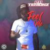 Feel Me (Explicit) - 211 Tekionz