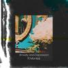 Anxiety and Depression(feat. Monti Ciego) - Raa Medulla&Monti Ciego