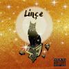 C'est l'histoire (Explicit) - Lince