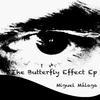 The Butterfly Effect - Miguel Malaga