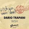 Wish (Radio Edit) - Dario Trapani
