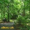 alles ok - YMI Neruda