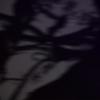 carbon dioxide (feat. Stevyn, Oh well., rans0m & thrml) (Explicit) - 01kon&Stevyn&Oh well.&rans0m&THRML