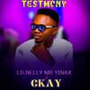 TESTMONY - Lilnelly Mr Yinax&CKAY