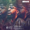 In My Feelings - Growzie