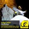 Mevlevism (VG vs. Dave Sullivan Remix) - Tolga Diler