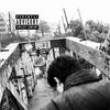 manicomio (Explicit) - FaceBrooklyn