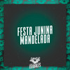 Festa Junina Mandelada (Explicit) - MC GW&MC P1&Mc Kalzin&DJ SD 061
