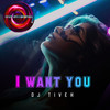 I want you - Dj Tivek
