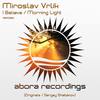 Morning Light (Sergey Shabanov Remix) - Miroslav Vrlik