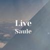 Live Saule - Virk Mala