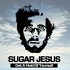 Get a Hold of Yourself (Radio Edit) - Sugar Jesus