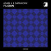 Pushin (Original Mix) - Adam K&Dataworx