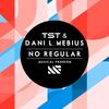 No Regular (Original Mix) - TST&Dani L. Mebius