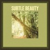 Subtle Beauty - Rafael Smart