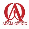 Feminist(feat. Tiffany K) - Adam Opinio&Tiffany K