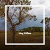Sing Willow - Tatiana Lina