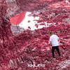 Zobus krata - Lessijs