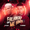 Falando Que Me Ama - Brega Funk Remix (Brega Funk Remix|Explicit) - Mc Reizin&MC Gui Andrade