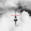 Pay No Mind(Complete version originally performed by Madeon feat. Passion Pit) - Madeon&Passion Pit