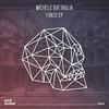 Funk (Original Mix) - Michele Battaglia