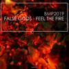 Feel The Fire (Instrumental) - False Gods