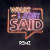 What I Just Said - Remz