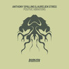 Positive Vibrations (Original Mix) - Anthony Spallino&Aurelien Stireg