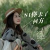 你去了何方（DJ版） - 王爱华