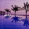Thinking About Ya (Peter Brown Remix) - Romain Pellegrin