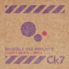 I Don't Beg (Extended Mix) - Invisible Dye Project&Lokka
