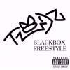 Blackbox Freestyle (Explicit) - Todz&Fabian Palmer