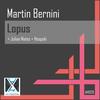 Lopus (Hoopski Remix) - Martin Bernini
