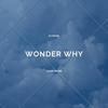 Wonder Why(feat. Adam Bomb) - DJ Nana&Adam Bomb