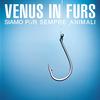 Nefasta in testa - Venus In Furs&Appino&Bartolo&Motta