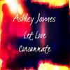 Let Love Consummate - Ashley James