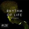 Rhythm of Life (Andreas Foxx Remix) - 8 Bit Society&Andreas Foxx&Adrian Roye&Fred Lagergren