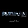 Syndflod - Sleiman&Db King&Jimilian