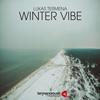 Winter Vibe - Lukas Termena