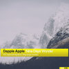 Nine Days' Wonder (Approaching Black Remix) - Dapple Apple&Approaching Black