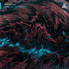 Unknown Phenomenon - Andrew Odd