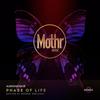 Revenge (Rosper Remix) - Audionatique