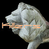 Killers - Tabasco Bob