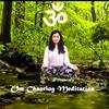Om Chanting Meditation - Apurva Sethi
