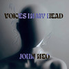 Voices In My Head - John Neo