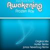 Awakening (Original Mix) - Frozen Ray