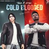 Cold Blooded - Magic&Kptaan