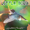 Little Bird - Heather Christie